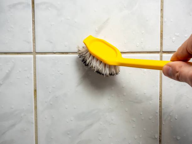 Best Post-Remediation Services in Indio, CA