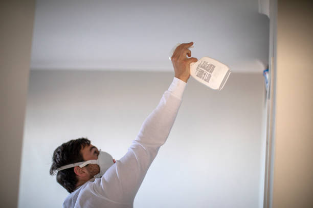 Best Attic Mold Remediation in Indio, CA