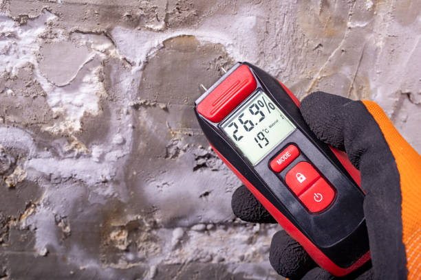 Best Kitchen Mold Remediation in Indio, CA